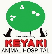 KEYAKI ANIMAL HOSPITAL