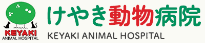 国分寺市の動物病院 一般診療·ペットホテル·トリミング·その他サービス